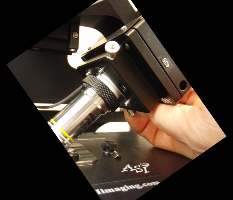 vertical objective position adjuster is used to lower the objective when changing lenses