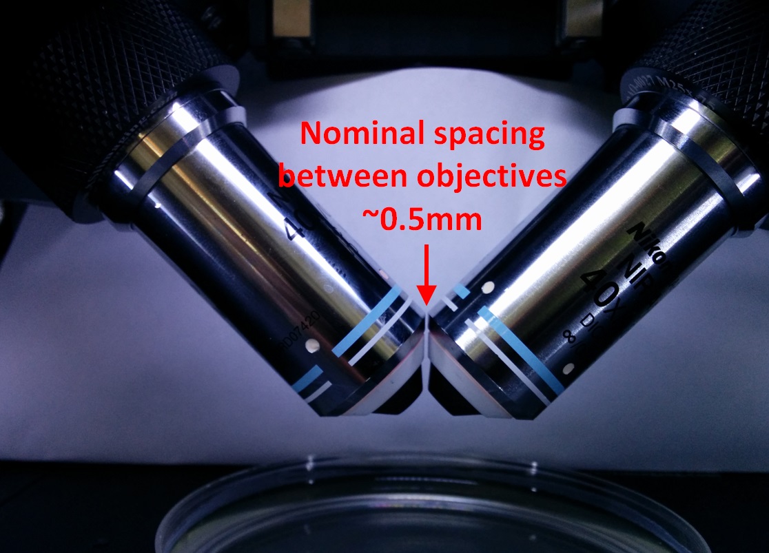 Co-focused objectives with ~0.5 mm nominal gap