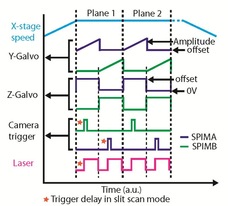 lv_tutorial_fig1.png